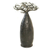 design baobab tree jewelry tree holder